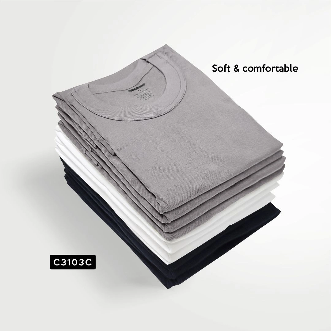 TSHIRT SLIDE 1_result