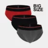 Champiro Challengerwear Brief Bigsize - C0363B