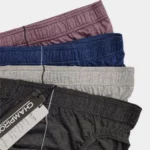 Champiro Celana Dalam brief Bigsize